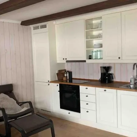 - In & Out - Mountain View Gaustablikk