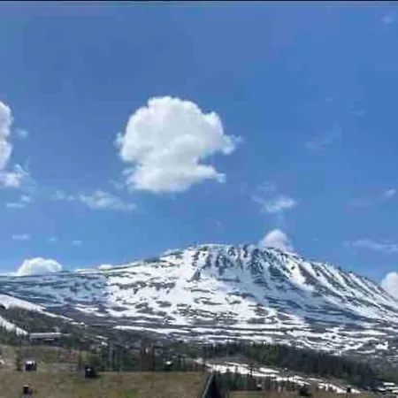 - In & Out - Mountain View *